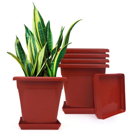 9 Inch Square Premium Virgin Plastic Decor Brown Flowerpot - Pack of 5